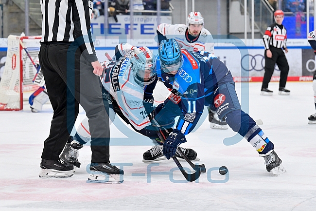 Eishockey, Herren, DEL, Saison 2025-2026, Spiel 47, ERC Ingolstadt - Nürnberg Ice Tigers, 01.03.2026