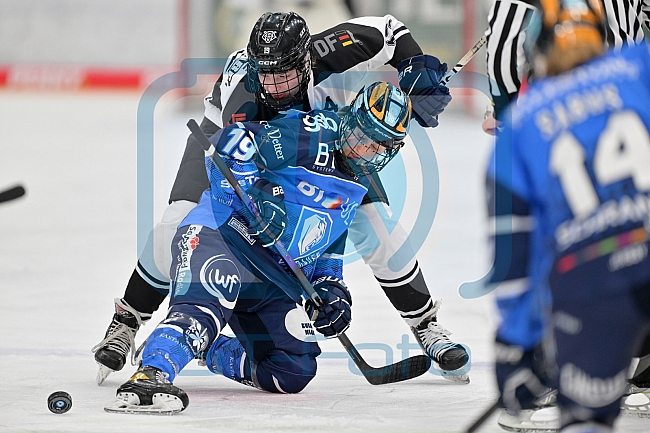 Eishockey, Frauen, DFEL, Saison 2023-2024, ERC Ingolstadt - Amsterdam Tigers, 06.01.2024