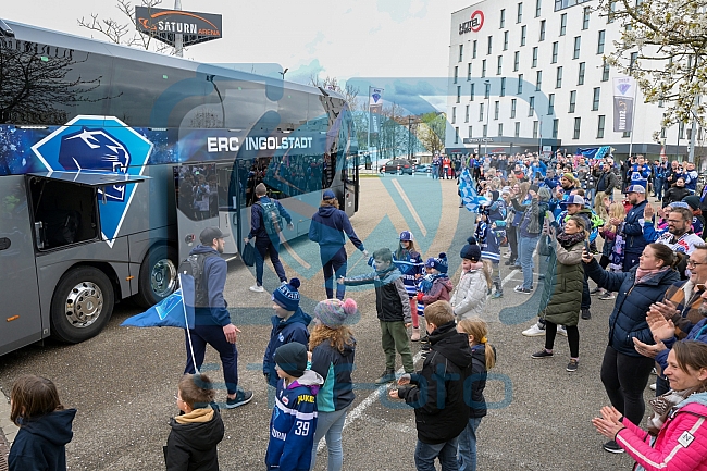 Eishockey, Herren, DEL, Saison 2022-2023, Playoff-Finale - Spiel 1, ERC Ingolstadt - Abfahrt vor Finalspiel 1, 14.04.2023