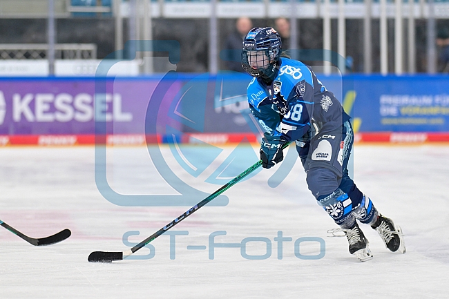 Eishockey, Frauen, DFEL, Saison 2025-2026, Testspiel, ERC Ingolstadt - HC Davos, 14.02.2026
