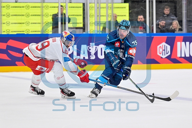 Hockey, Mens, CHL, Season 2025-2026, Regular Season, Round of 16, ERC Ingolstadt - EC Red Bull Salzburg, 12.11.2025