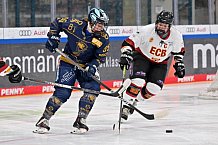 Eishockey, Frauen, DFEL, Saison 2022-2023, ERC Ingolstadt - EC Bergkamener Bären, 18.02.2023