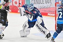 Eishockey, Herren, DEL, Saison 2024-2025, Spieltag 11, ERC Ingolstadt - Pinguins Bremerhaven, 20.10.2024
