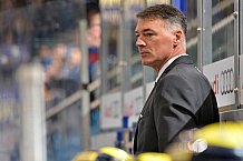ERC Ingolstadt vs Schwenninger Wild Wings, Eishockey, DEL, Deutsche Eishockey Liga, 22.01.2016