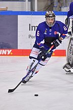 Eishockey, Herren, DEL, Saison 2020-2021, ERC Ingolstadt - Iserlohn Roosters, 15.04.2021