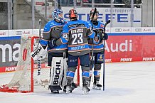 Eishockey, Herren, DEL, Saison 2023-2024, Spieltag 38, ERC Ingolstadt - Adler Mannheim, 14.01.2024