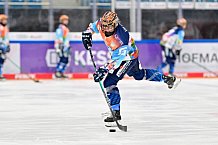Eishockey, Frauen, DFEL, Saison 2024-2025, ERC Ingolstadt - ECDC Memmingen Indians, 16.11.2024