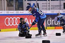 ERC Ingolstadt Kids on Ice Day, DEL, Deutsche Eishockey Liga, 12.10.2019