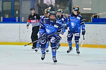 Eishockey, Frauen, DFEL, Saison 2023-2024, ERC Ingolstadt - ECDC Memmingen Indians, 21.01.2024