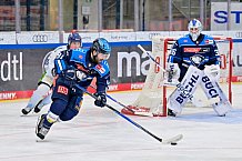 Eishockey, Herren, DEL, Saison 2025-2026, Spiel 40, ERC Ingolstadt - Straubing Tigers, 16.01.2026