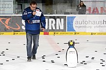 ERC Ingolstadt vs Duesseldorfer EG, Eishockey, DEL, Deutsche Eishockey Liga, 11.10.2015