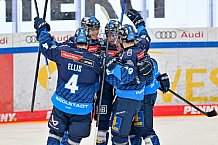 Eishockey, Herren, DEL, Saison 2024-2025, Spieltag 36, ERC Ingolstadt - Kölner Haie, 12.01.2025