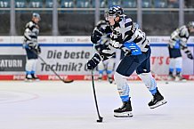 Eishockey, Herren, DEL, Saison 2024-2025, Vorbereitung, ERC Ingolstadt - Dresdner Eislöwen, 18.08.2024
