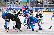 Eishockey, Herren, DEL, Saison 2025-2026, Spiel 16, ERC Ingolstadt - Kölner Haie, 31.10.2025
