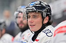 Eishockey, Herren, DEL, Saison 2024-2025, Vorbereitung, ERC Ingolstadt - Dresdner Eislöwen, 18.08.2024