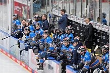 Eishockey, Herren, DEL, Saison 2023-2024, Spieltag 39, ERC Ingolstadt - Iserlohn Roosters, 19.01.2024