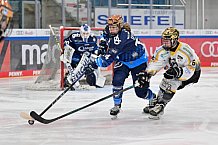 Eishockey, Frauen, DFEL, Saison 2024-2025, ERC Ingolstadt - Mad Dogs Mannheim, 23.11.2024