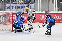 Eishockey, Herren, DEL, Saison 2023-2024, Spieltag 50, ERC Ingolstadt - Löwen Frankfurt, 01.03.2024