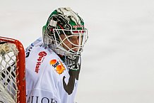 ERC Ingolstadt vs Augsburger Panther, Eishockey, DEL, Deutsche Eishockey Liga, Spieltag 21, 23.11.2016

