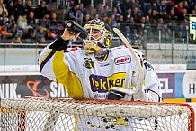 ERC Ingolstadt - Krefeld Pinguine, Eishockey, DEL, Deutsche Eishockey Liga, Spieltag 35, 05.01.2017