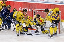 ERC Ingolstadt - Krefeld Pinguine, Eishockey, DEL, Deutsche Eishockey Liga, Spieltag 34, 05.01.2016, Foto: st-foto.de / Oliver STRISCH