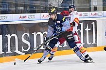 ERC Ingolstadt vs Duesseldorfer EG, Eishockey, DEL, Deutsche Eishockey Liga, Spieltag 50, 21.02.2017