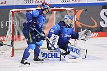 Eishockey, Herren, DEL, Saison 2020-2021, ERC Ingolstadt - Schwenninger Wild Wings, 19.01.2021