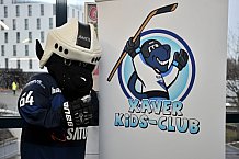 ERC Ingolstadt vs Hamburg Freezers, Eishockey, DEL, Deutsche Eishockey Liga, 10.01.2016