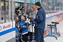 Eishockey, Herren, DEL, Saison 2024-2025, ERC Ingolstadt - Kids On Ice Day, 11.01.2025