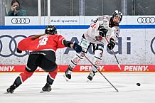Eishockey, Frauen, EWHL Euro Cup, Saison 2025-2026, Finale, HK Budapest - ECDC Memmingen Indians, 19.10.2025