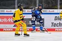 Eishockey, U20, DNL, Saison 2024-2025, ERC Ingolstadt - Krefelder EV 81, 01.03.2025