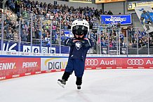 Eishockey, Herren, DEL, Saison 2024-2025, Spieltag 19, ERC Ingolstadt - Grizzlys Wolfsburg, 24.11.2024