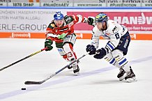 Augsburger Panther vs ERC Ingolstadt, Eishockey, DEL, Deutsche Eishockey Liga, Spieltag 49, 02.02.2018
