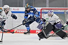 Eishockey, Frauen, DFEL, Playoffs, Saison 2023-2024, ERC Ingolstadt - Eisbären Berlin, 02.03.2024
