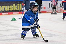 Eishockey, Herren, DEL, Saison 2024-2025, ERC Ingolstadt - Kids On Ice Day, 11.01.2025