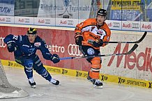 ERC Ingolstadt vs Grizzlys Wolfsburg, Eishockey, DEL, Deutsche Eishockey Liga, 31.01.2016