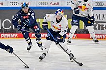 Eishockey, Herren, DEL, Saison 2024-2025, Spieltag 51, ERC Ingolstadt - EHC Red Bull München, 04.03.2025