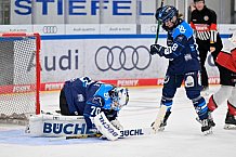 Eishockey, Frauen, DFEL, Saison 2025-2026, ERC Ingolstadt - HK Budapest, 15.11.2025