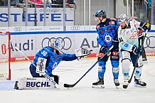 Eishockey, Herren, DEL, Saison 2025-2026, Spiel 23, ERC Ingolstadt - Dresdner Eislöwen, 28.11.2025