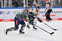 Eishockey, Herren, DEL, Saison 2023-2024, Spieltag 51, ERC Ingolstadt - Kölner Haie, 03.03.2024