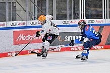 Eishockey, Herren, DEL, Saison 2023-2024, Playoffs Viertelfinale - Spiel 2, ERC Ingolstadt - Fischtown Pinguins , 20.03.2024