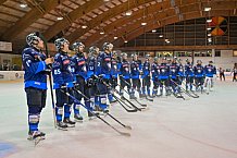 Eishockey, Herren, DEL, Saison 2024-2025, ERC Ingolstadt - Iserlohn Roosters, 23.08.2024