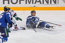 ERC Ingolstadt vs Augsburger Panther, Eishockey, DEL, Deutsche Eishockey Liga, Spieltag 46, 10.02.2017