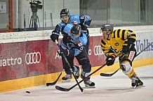 Eishockey, Herren, 6. Vinschgau-Cup, Saison 2022-2023, ERC Ingolstadt - HC Pustertal, 26.08.2022