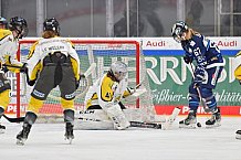 Eishockey, Frauen, DFEL, Saison 2021-2022, ERC Ingolstadt - Mad Dogs Mannheim, 23.10.2021