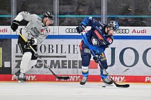 Eishockey, Herren, DEL, Saison 2024-2025, Spieltag 36, ERC Ingolstadt - Kölner Haie, 12.01.2025