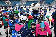 Eishockey, Saison 2025-2026, ERC Ingolstadt - Kids On Ice Day, 29.11.2025