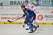 ERC Ingolstadt vs Adler Mannheim, Eishockey, DEL, Deutsche Eishockey Liga, 24.02.2016