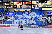 Eishockey, Herren, DEL, Saison 2023-2024, Playoffs Viertelfinale - Spiel 4, ERC Ingolstadt - Fischtown Pinguins , 24.03.2024