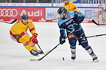 Eishockey, Herren, DEL, Saison 2022-2023, Playoff-Viertelfinale - Spiel 1, ERC Ingolstadt - Düsseldorfer EG, 15.03.2023
